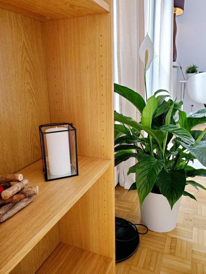 Le Loft De L'ecluse / F2 Cosy Au Bord De L'eau